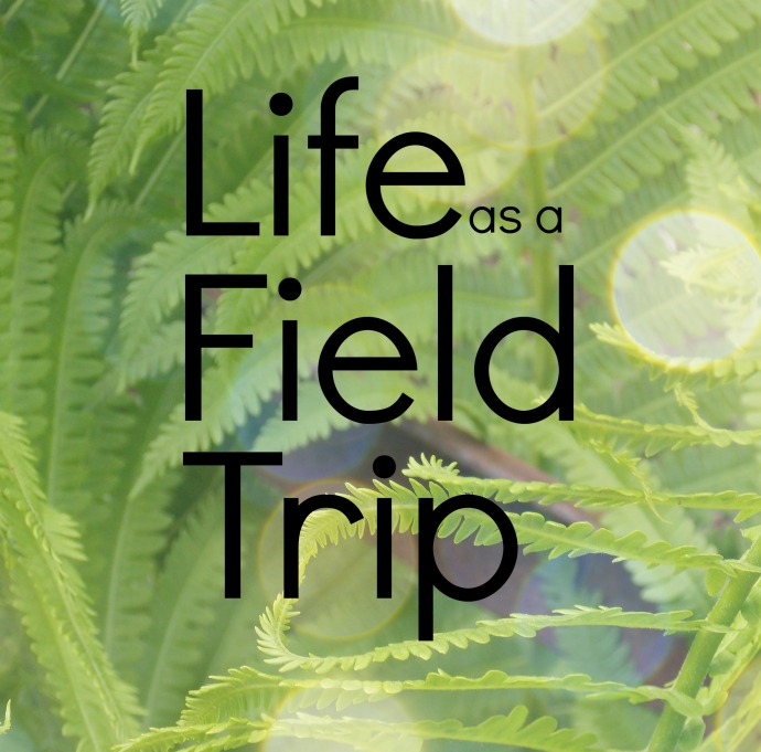Life as a Field Trip 